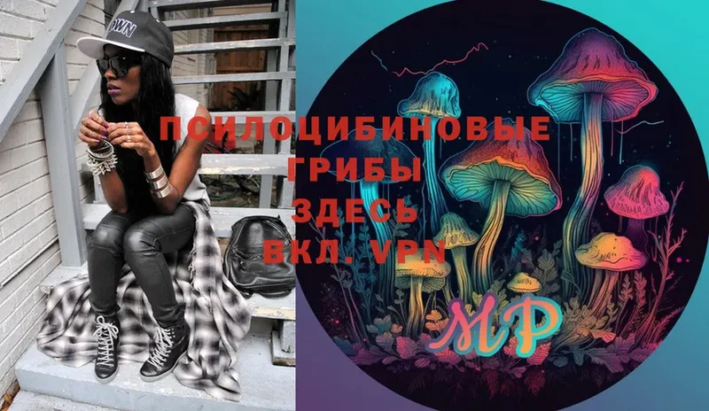 Псилоцибиновые грибы Psilocybe  Муравленко 